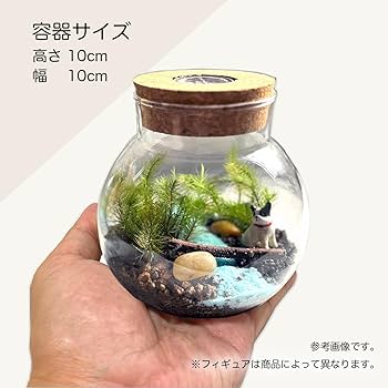 Amazon.co.jp: 苔テラリウムキット LED付き卓上タイプ（カワウソ